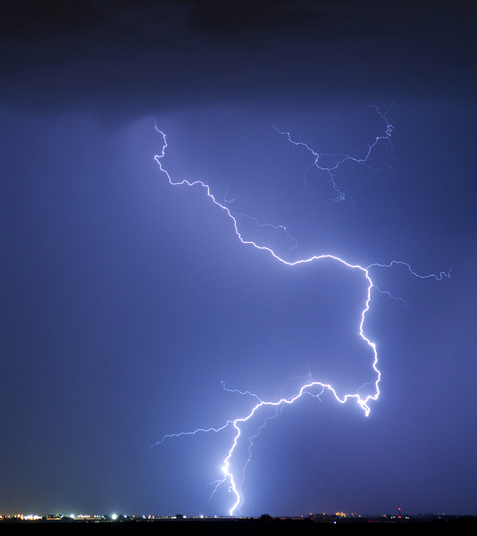 Nature Strikes Digital Download