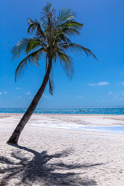 White Sand Beaches and Tropical Blue Skies Digital Download