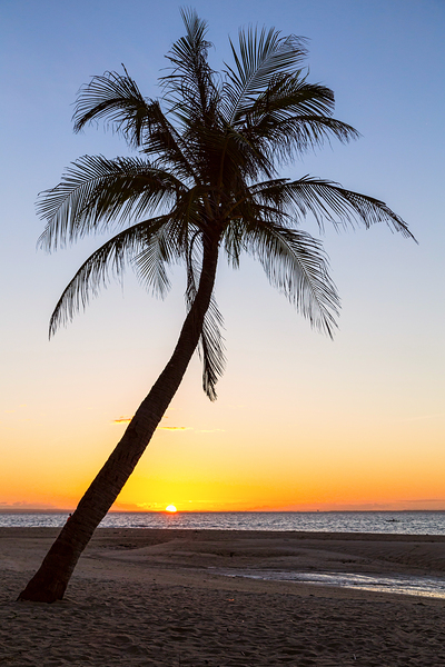 Coco Mo Tropical Sunrise Téléchargement Numérique