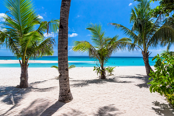 Tropical Vacation View Digital Download