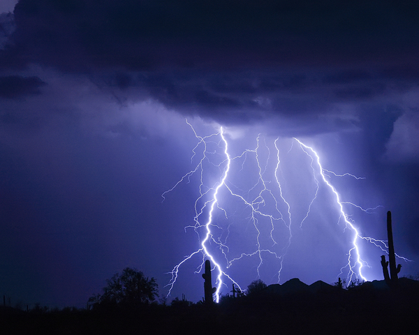 Night Striking Down Digital Download