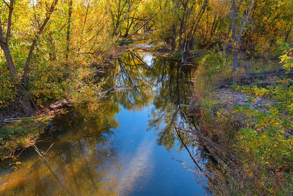 Reflections Time Digital Download