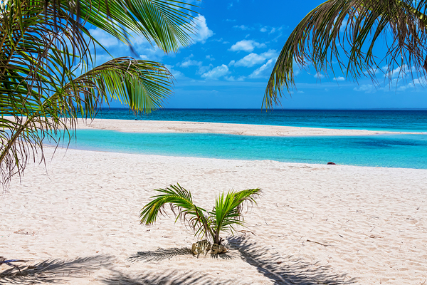 Tropical White Sand Beaches Vacation View Digital Download