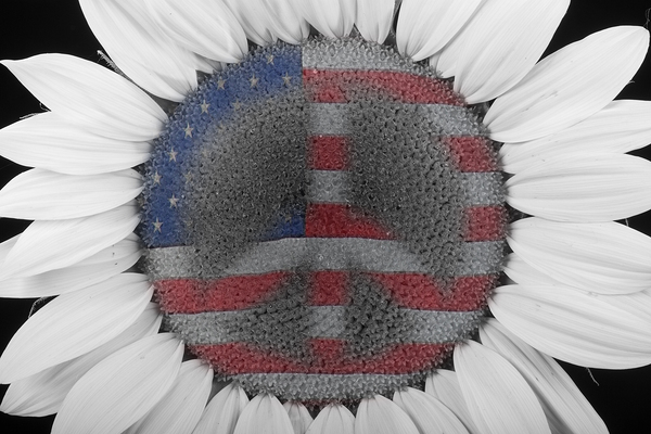 American Sunflower Power Digital Download