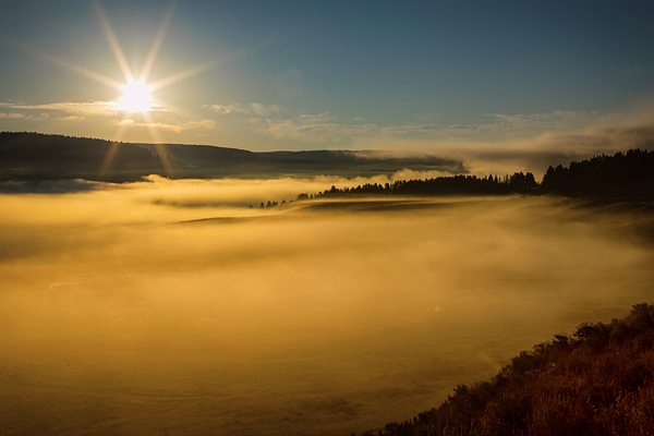 Golden Mist Sunrise Fog On Yellowstone Lake Digital Download