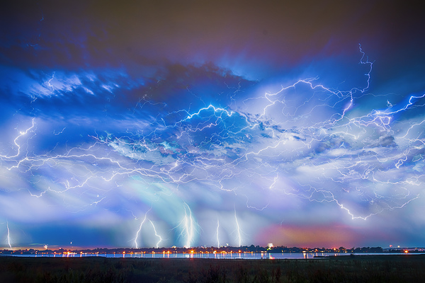 Natures Fourth Of July Digital Download