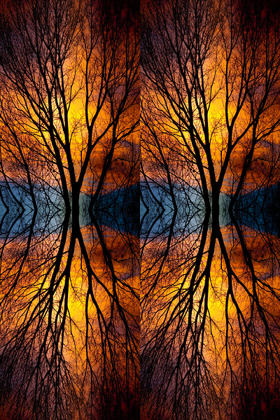 Sunset Tree Silhouette Abstract 4 1 Digital Download