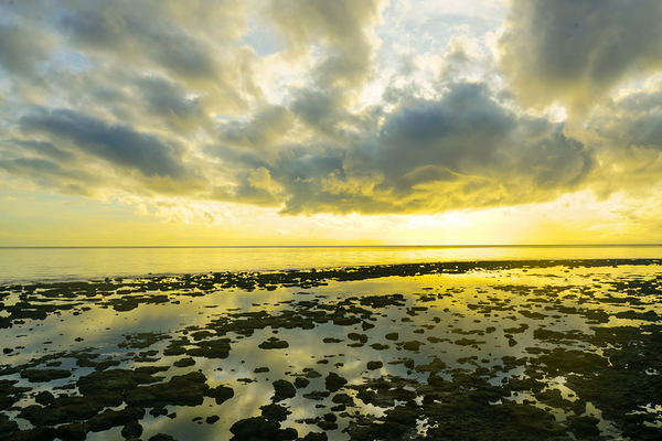 Where the Sky Meets the Tides Digital Download
