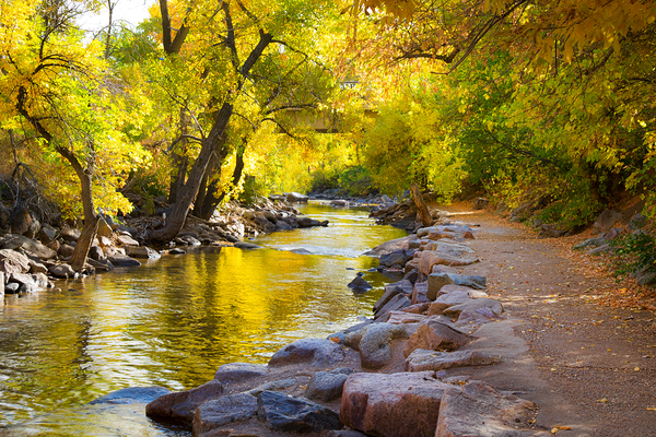 Boulder Colorado City Walk Digital Download