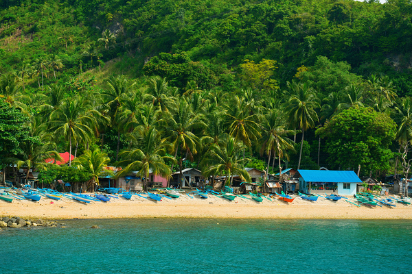 Blue Whispers of the Tropic Shore Téléchargement Numérique