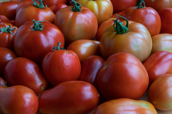 Red Tomato Mix Téléchargement Numérique