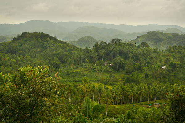 Verdant Tapestry of Tuburan Digital Download