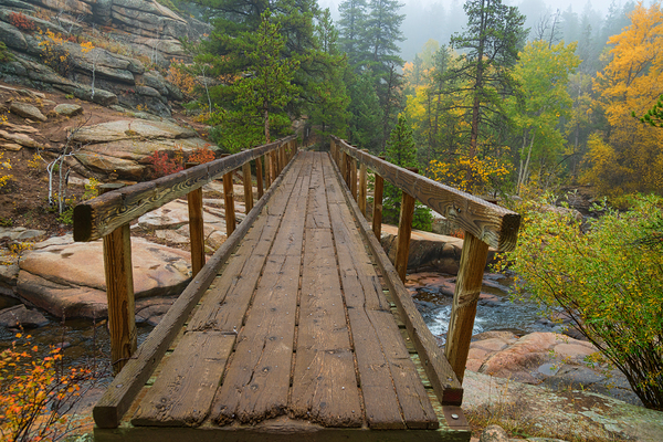 Rustic Wood Hiking Bridge Crossing Téléchargement Numérique
