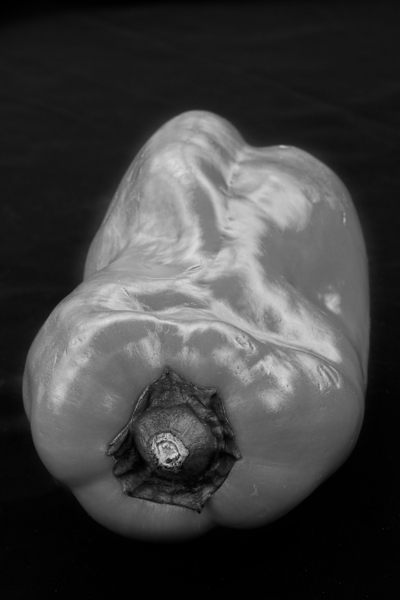 Red Pepper Bringing Sexy Back Black and White Digital Download