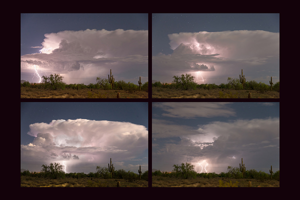 Storming Sonoran Desert Téléchargement Numérique
