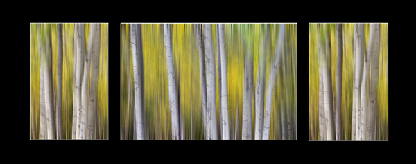 Aspen Splendor Triptych Abstract Landscape Dreaming Collage Digital Download