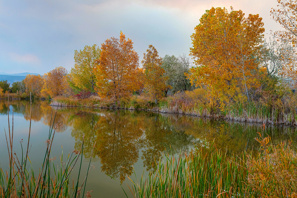 Just Another Beautiful Autumn Reflection Digital Download