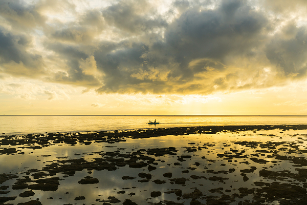Golden Waters Carry the Morning Light Téléchargement Numérique