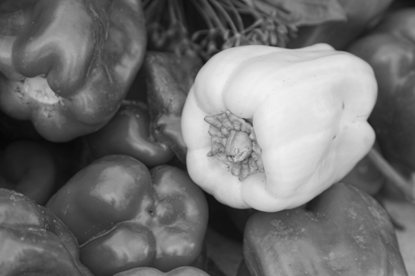 Albino Bullnose Pepper BW Digital Download