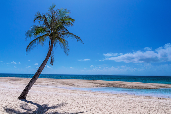 Tropical Blue Skies And White Sand Beaches Téléchargement Numérique