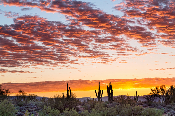 Colorful Sonoran Desert Sunrise Digital Download