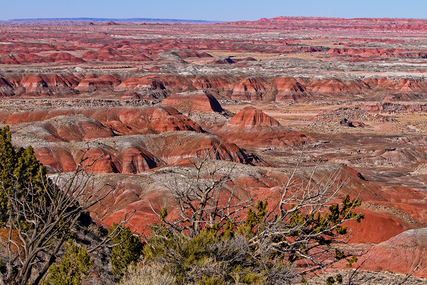 Painted Desert Horizons Arizona Digital Download