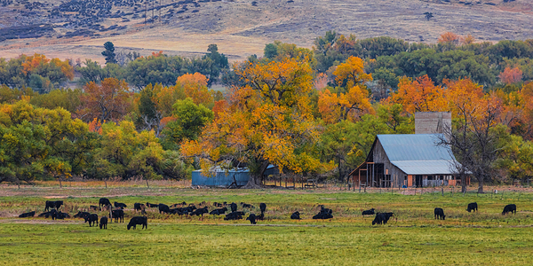 Just A Pretty Country Landscape Digital Download