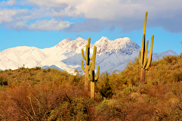 Four Peaks Arizona Desert Landscape Digital Download