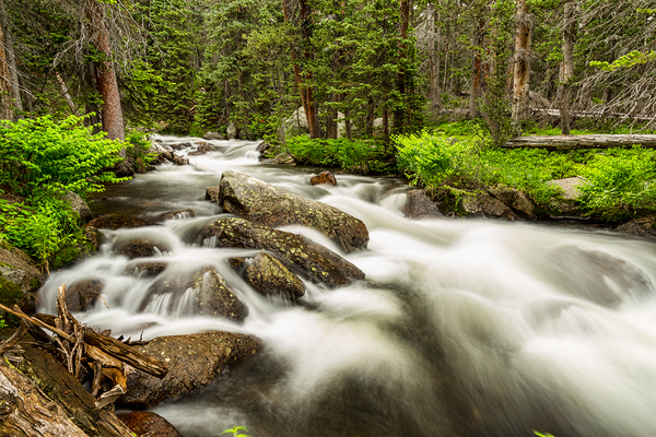 Roosevelt National Forest Stream Digital Download
