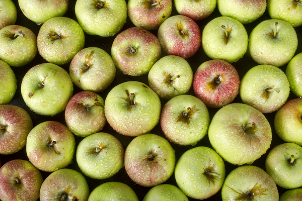 Little Green Apples Téléchargement Numérique