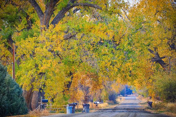 Awesome Country Road Digital Download