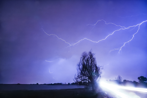 Ghost Rider Téléchargement Numérique