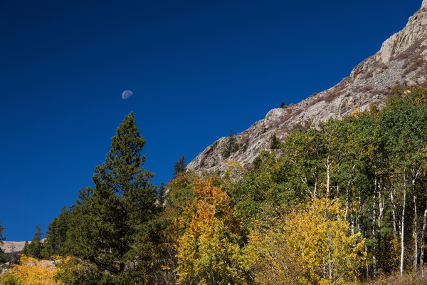 Autumn Bella Luna Téléchargement Numérique