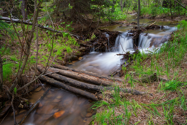 Creek Crossing Forest Woods Digital Download