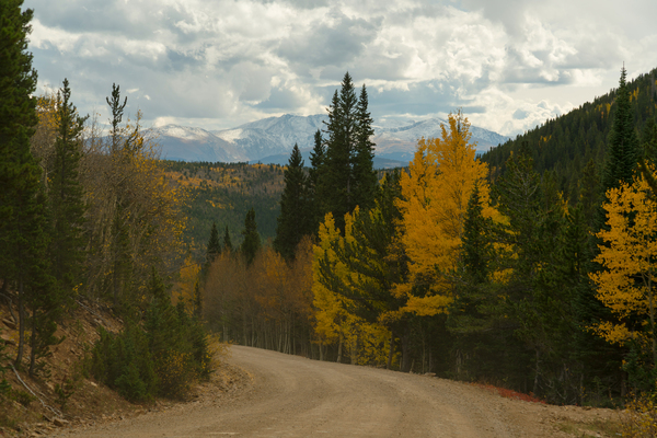 Dirt Road Paradise Cruising Digital Download