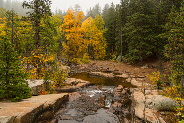Downstream St Vrain Téléchargement Numérique