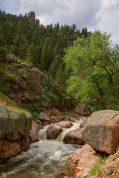 Getting Lost In A Canyon Creek Téléchargement Numérique