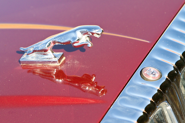 Jaguar Hood Ornamen and Emblem Digital Download