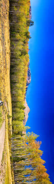 Panorama Autumn Bonanza Téléchargement Numérique