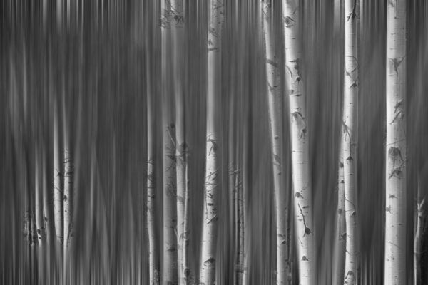 Somewhere Along the Road Dreaming Black and White Digital Download