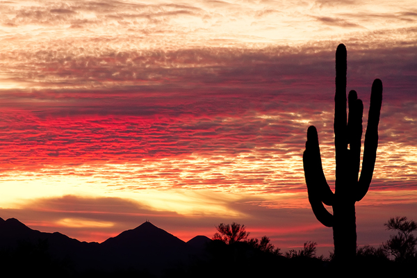 Tequila Sunrise Landscape Digital Download