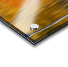 Sunny Colorful Aspen Tree Mix Acrylic print