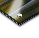 Forest Wilderness Wonderland Abstract  Photo Art Acrylic print