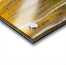 Golden Forest Moment Abstract Panorama Acrylic print