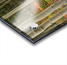 Wilderness Wonderland Acrylic print