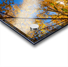 Blue Sky Autumn Bliss Impression Acrylique