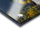 Autumn Journey: Winding Through Boulder Countys Canyon Splendor Acrylic print