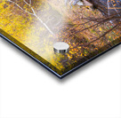 Rustic Log Bridge in Golden Autumn Forest – Serene Fall Creek  Acrylic print