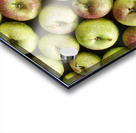 Little Green Apples Impression Acrylique