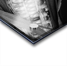 Indian Corn Black and White Impression Acrylique